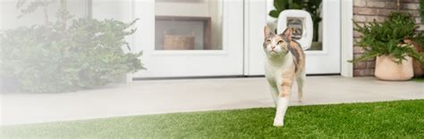 petsafe.net|Shop PetSafe® Netherlands .
